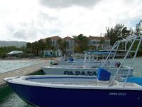 Ｊ．Ｋ様＆Ｉ．Ａ様／ラム酒片手にレゲエ三昧　モンテゴベイ８日間